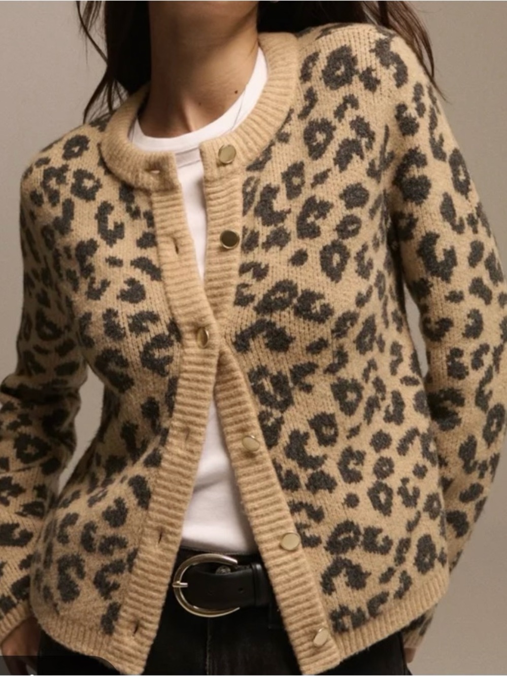 Abercrombie & Fitch Leopard Crew  Cardigan